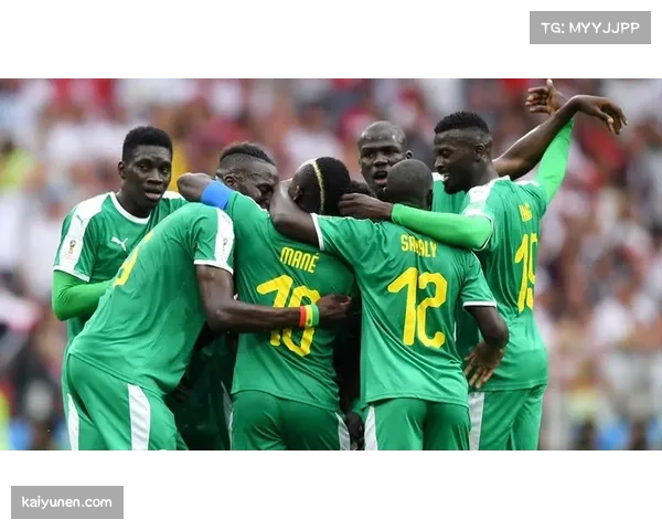 非洲十队数量创新高 摩洛哥塞内加尔承载大陆希望 非洲十队数量创新高 摩洛哥塞内加尔承载大陆希望